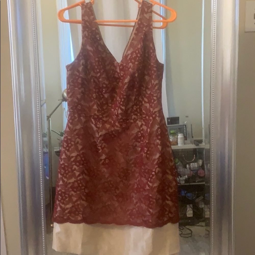 Limited Lace print Dress